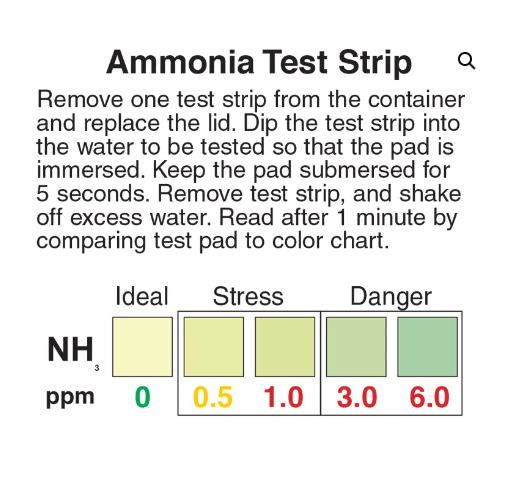 Test analiza amoniu in apa